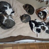 本日お休みです😃