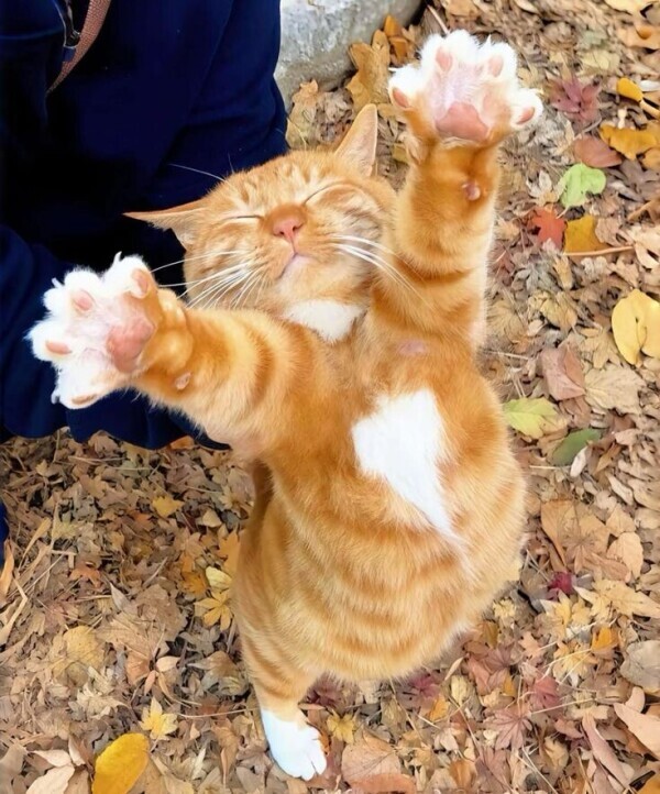 ありがとうございました🎶