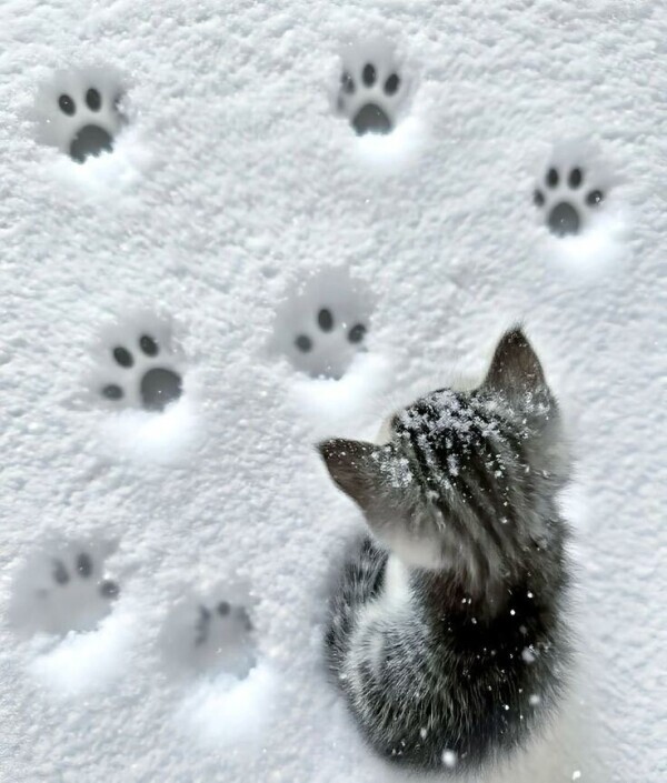 ありがとうございました️🫧