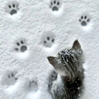 ありがとうございました️🫧