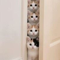 本日お休みです😃