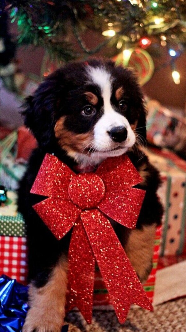 終りましたー💇