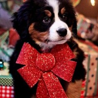 終りましたー💇