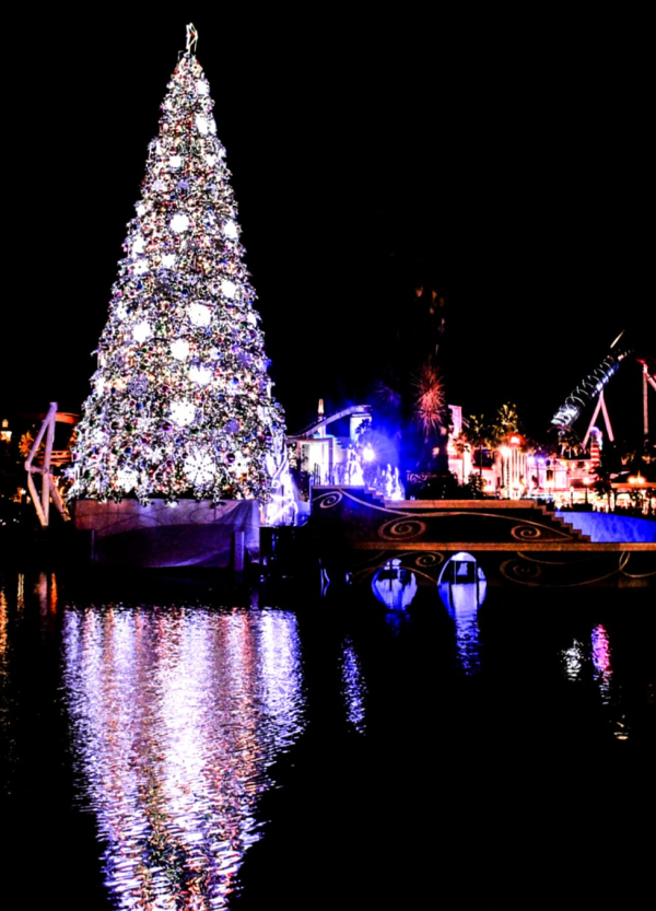 お疲れさまでした🙇✨