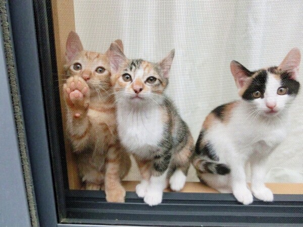 🍁🍁出勤しました🍁🍁