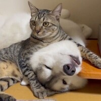 おはようございます☀️