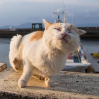 出勤しました🐾