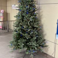 明日も出勤します⭐️