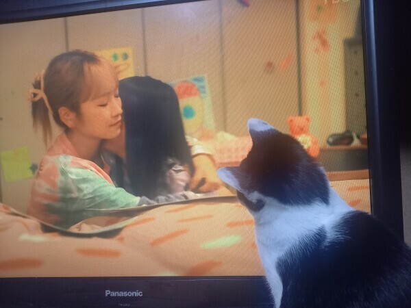 おもしろい(・_・?)