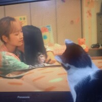 おもしろい(・_・?)