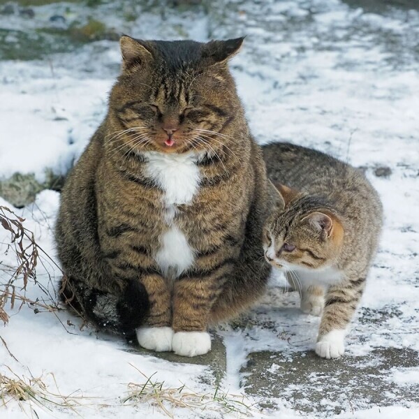❄️❄️出勤しました❄️❄️