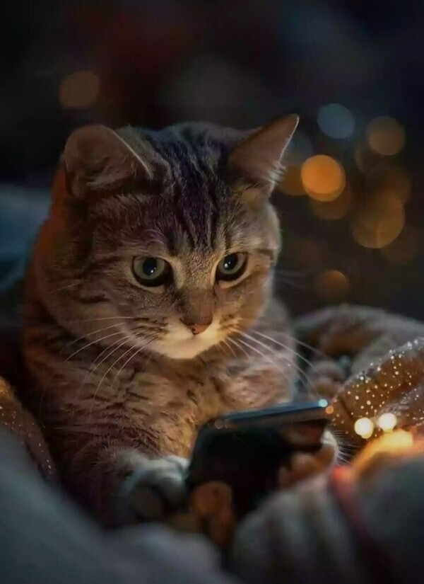 出勤しました😃