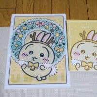 コレが欲しさに