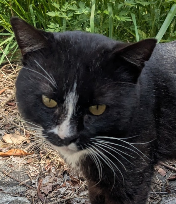 犯人はコイツです！！！