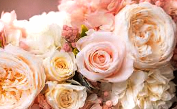 有難うございました🙇✨