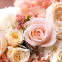 有難うございました🙇✨