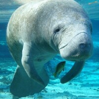 🦋🦋おはようございます🦋🦋