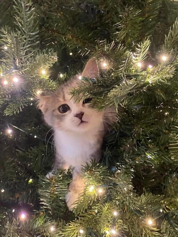 出勤しました☀