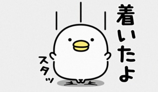 出勤しました✨