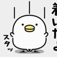 出勤しました✨