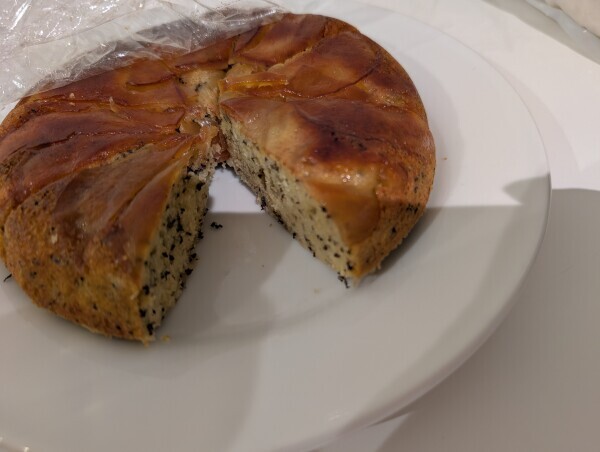 本日夕方からラストまで出勤です🐾