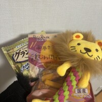 明日、夕方〜出勤です！❤︎