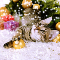 ⭐️⭐️本日もありがとうございました⭐️⭐️