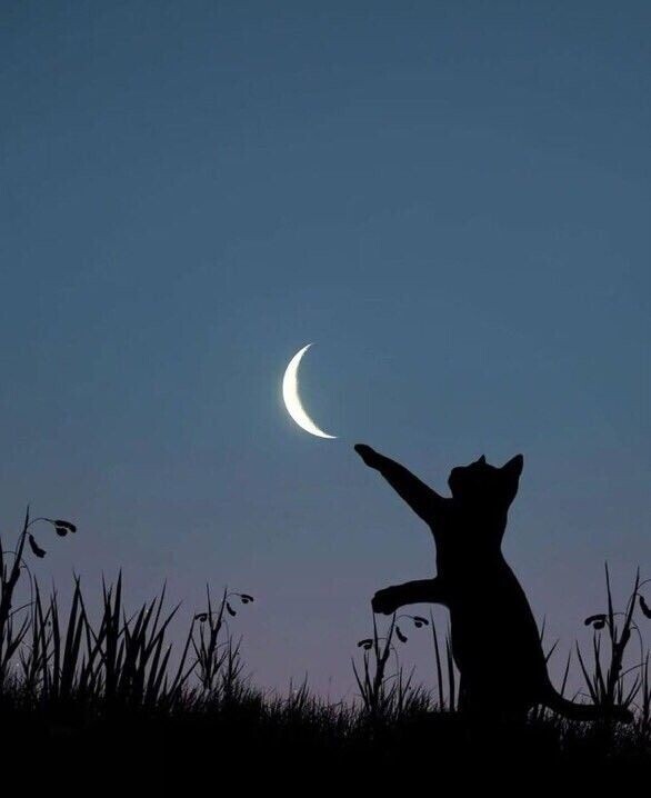 ありがとうございました🎸