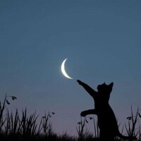 ありがとうございました🎸