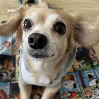 (火)夕方から出勤です🤗