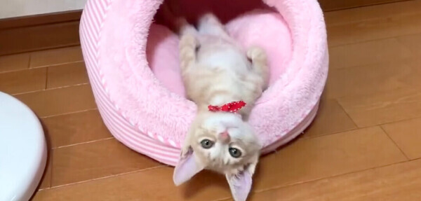 お休み1日目❄️