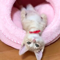 お休み1日目❄️