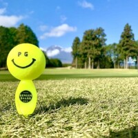 ✨🪷夕方から🪷✨