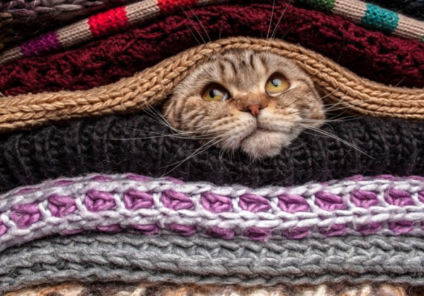 出勤しました🐾