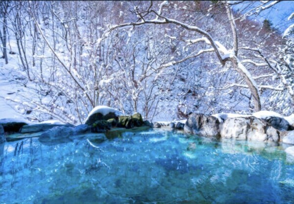 ありがとうございました