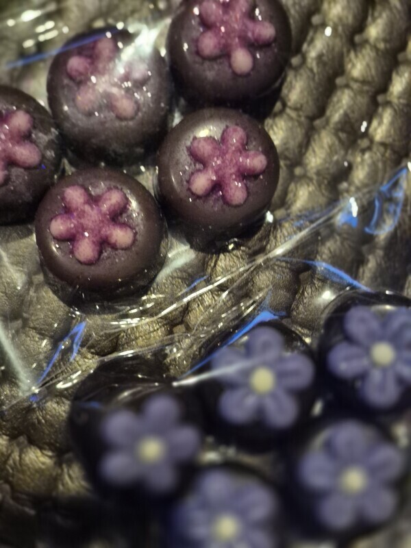 ✨🪷帰りました🪷✨