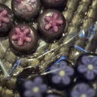 ✨🪷帰りました🪷✨