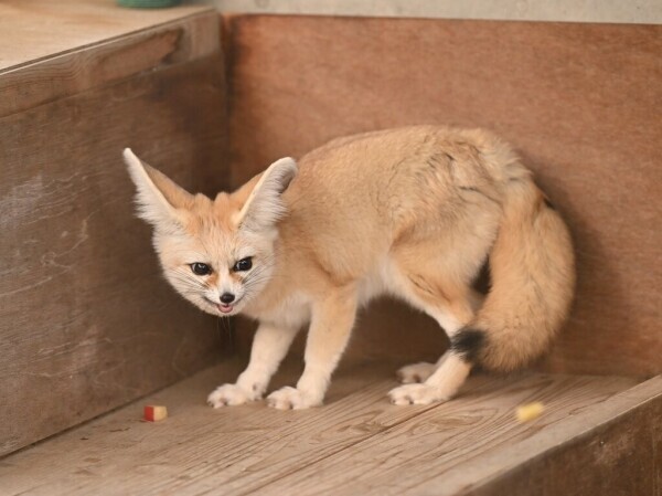 出勤しております☀