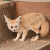 出勤しております☀