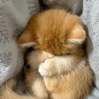 出勤しました☀