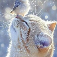 おはようございます☀️