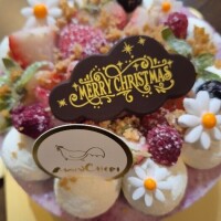 ✨🪷ホカホカ🥰🪷✨