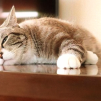 次回 出勤は21日㈰です