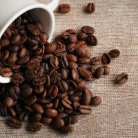 本日も夕方からラストまで出勤です🐾