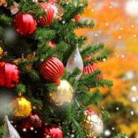 次回は21日㈰出勤予定です✨