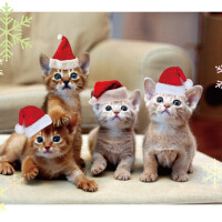 🍀🍀出勤しました🍀🍀