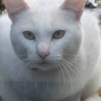 おはようございます😊