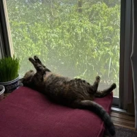 おはようございます☂️