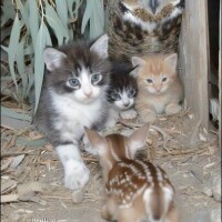 出勤しました☂️