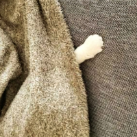 ギリギリ起きた🫩